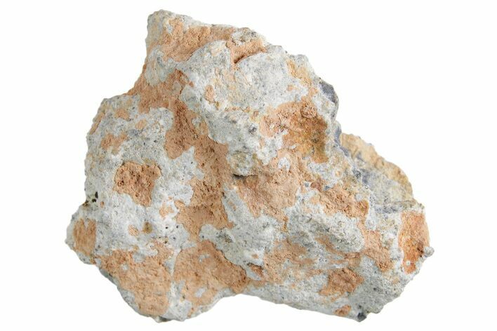Lunar Meteorite ( g) - Bechar #360436